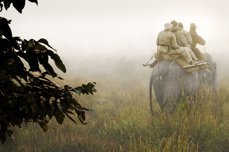 Kaziranga National Park