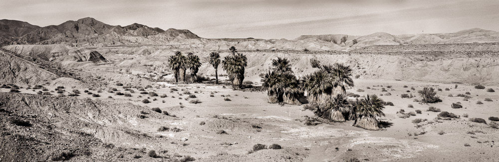 Twenty-nine Palms Oasis